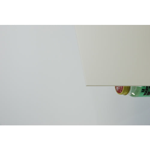 Light Pet Ace White 450 x 600 x 3.0 mm PAW46-30 1 sheet