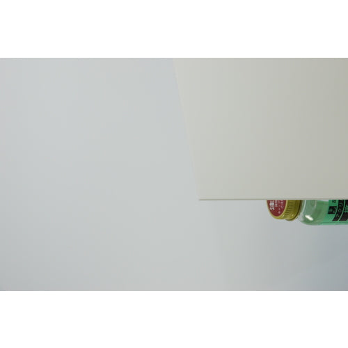 Light Pet Ace White 600 x 900 x 2.0 mm PAW96-20 1 sheet