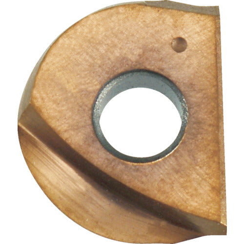 MOLDINO 밀링 공구 커터용 인서트 ZDFG06N-ST PN15M PN15M ZDFG06N-ST 2개