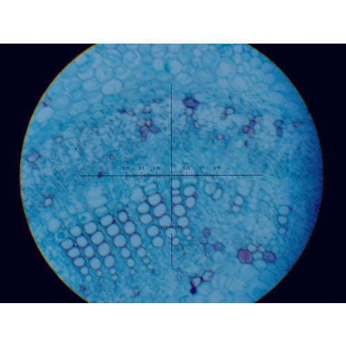 スギトー ミクロメーター TS-8LEN-200WT 1 個