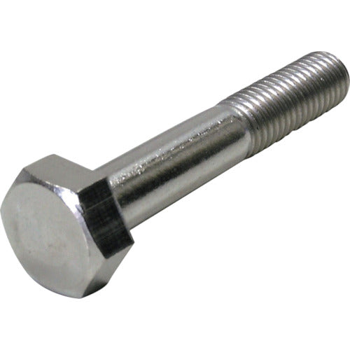 DAIDОHANT HP ステンレス六角ボルト 8×60 2本入 10185731 1 袋