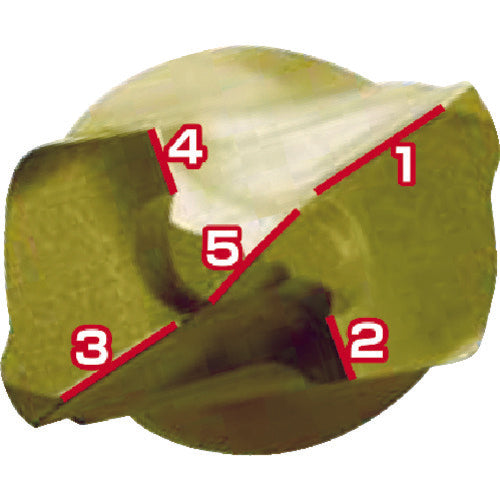 サンコー テクノ パワーSDS PWLタイプ 刃径4.8mm PWL-4.8X115P 1 本
