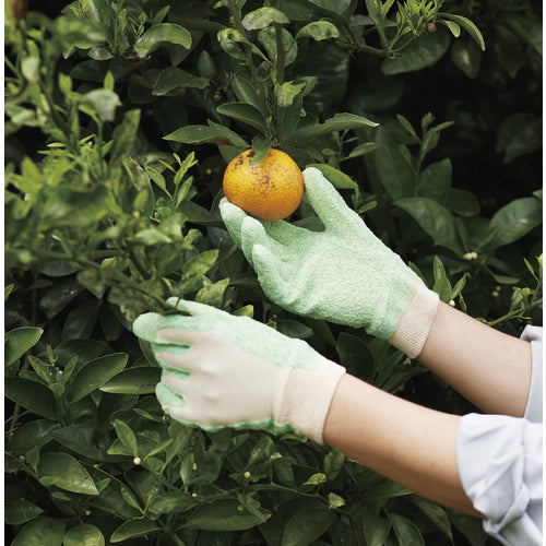 Vinyl chloride unlined gloves Vinyl Sunday unlined gloves M 672-M 1 pair