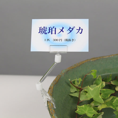 OP Clip Holder 5 pieces CH-221 1 bag