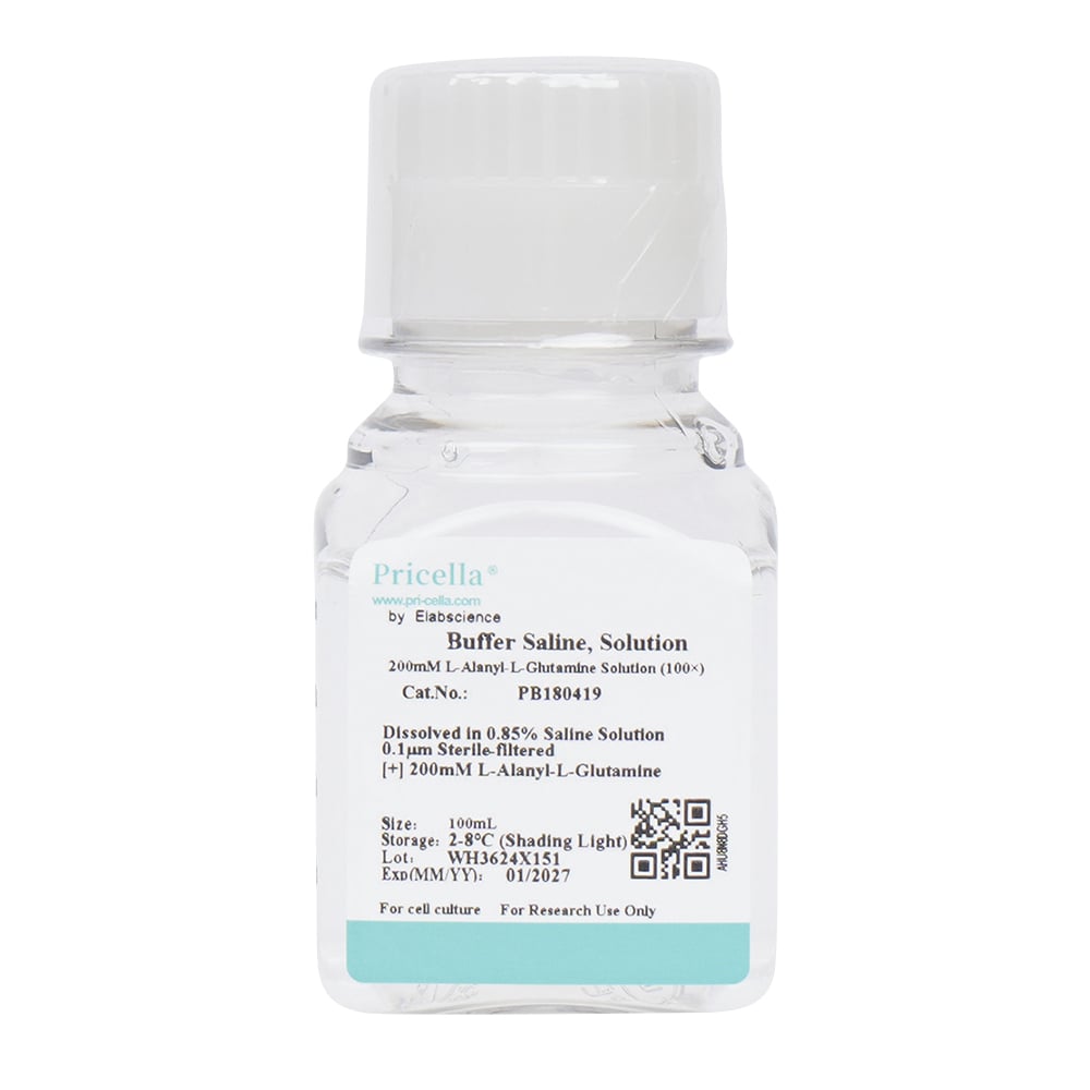 L-Alanyl-L-Glutamine Solution (100x) PB180419 1 bottle