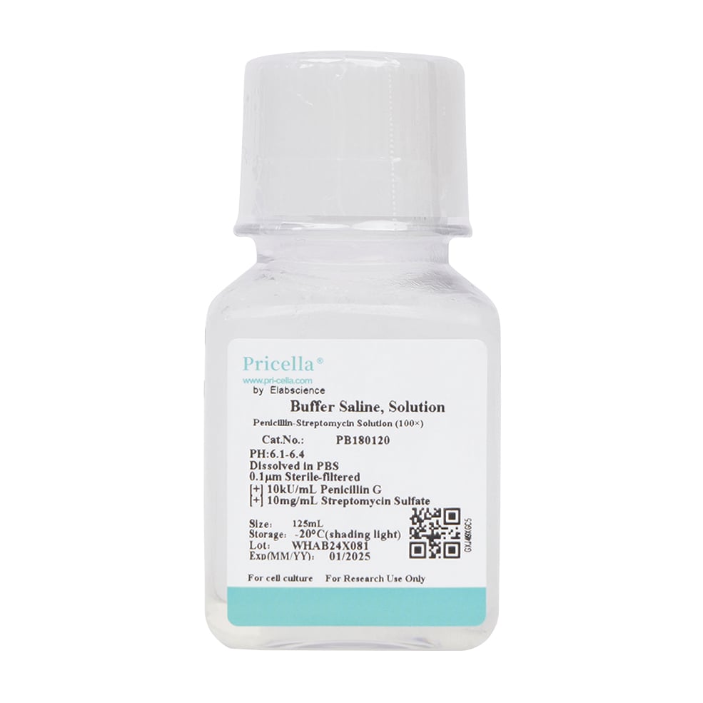 Penicillin-streptomycin solution (100x) PB180120 1 bottle