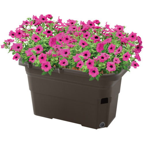 Richell Uruon Planter 65 Type Dark Brown 70311 1 pc