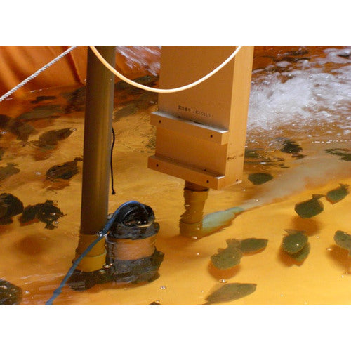 Tsurumi Titanium Seawater Submersible Pump 60Hz Caliber 50mm Three-phase 200V 50TM2.75 60Hz 1 unit