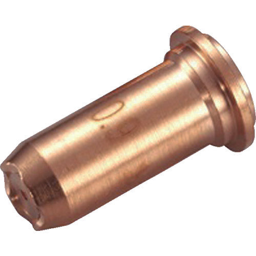 Mite Chip (10 pieces) PTT-40L 1 box