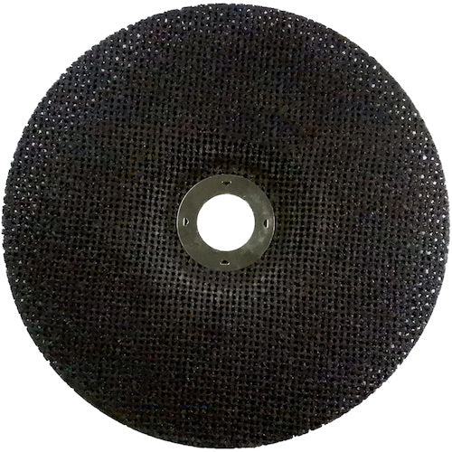 NRS 網目状研磨ディスク サンドホイル 180×2×22 #60 SDW1802-60 10 枚