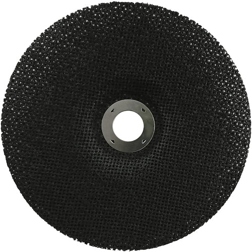 NRS 網目状研磨ディスク サンドホイル 180×2×22 #80 SDW1802-80 10 枚