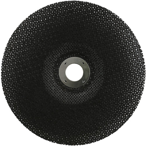 NRS 網目状研磨ディスク サンドホイル 180×2×22 #120 SDW1802-120 10 枚