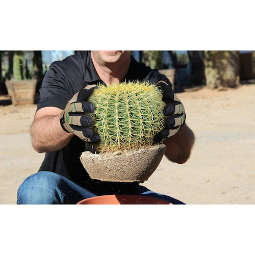 HEX ARMOR 耐切創・耐針手袋 ThornArmor 3092 L 754209 1 双