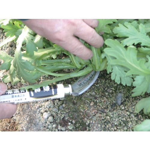 豊稔 光山作ステンレス鋼収穫鎌(小) HTS-1100 1 丁