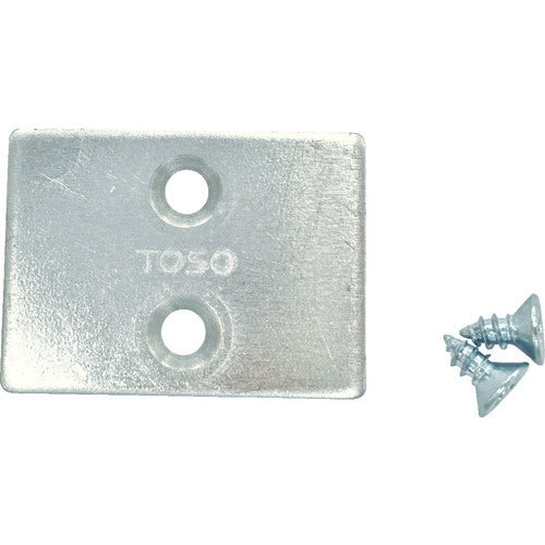 TOSO ピクチヤ− キヤツプ G2 ナチユラル PG-CG2 1 個