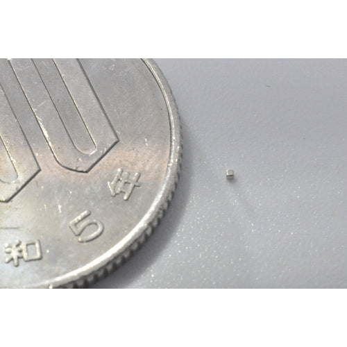 TRUSCO ネオジム磁石 角形 0.5mmX0.5mmX0.5mm 1個入 TN05-05K-1P 1 個