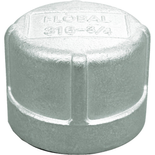 FLOBAL Threaded Pipe Fittings Cap (Stainless Steel 14A) 04116105 Nominal Size (A) 20/Nominal Size (B) 3/4 VC-S14-06 1 pc