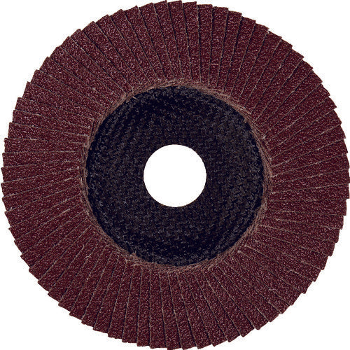 TYROLIT 【매진 폐번】 플랩 디스크 프리미엄 타입 125mm #40 668681 10장