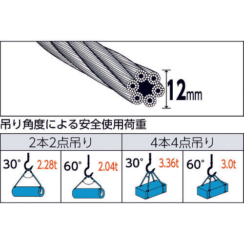 TRUSCO 와이어 로프 슬링 E 타입 알루미늄 잠금 12mmX1m TWEL-12S1 1 개