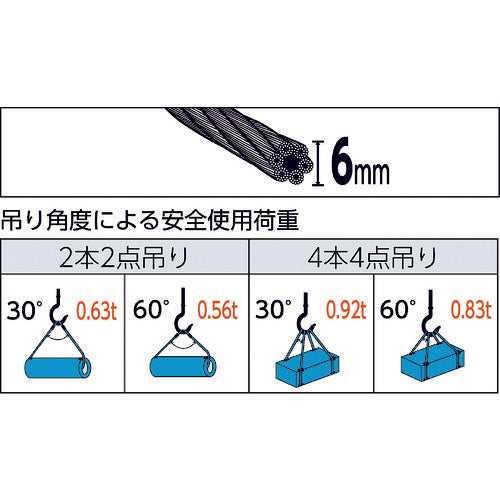 TRUSCO ワイヤロープスリング Eタイプ アルミロック 6mmX1m TWEL-6S1 1 本