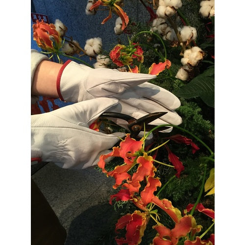 시몬 소 가죽 장갑 CG717 CG717-LL 1 쌍