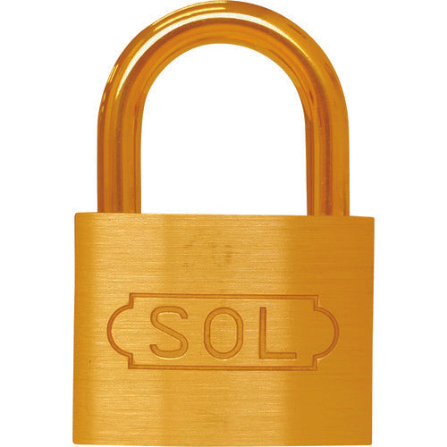 SOL NO.2500 共通同一錠 45 2500SK-45 1 個