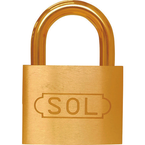 SOL NO.2500 共通同一錠 50 2500SK-50 1 個