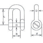 Mizumoto Stainless Steel Sinking Shackle, Size 8mm, Load Capacity 2.45kN, CS-8, 1 pc