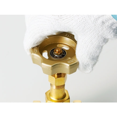 Fujikin Brass Needle Valve 3/4B DH-12E-R 1 piece