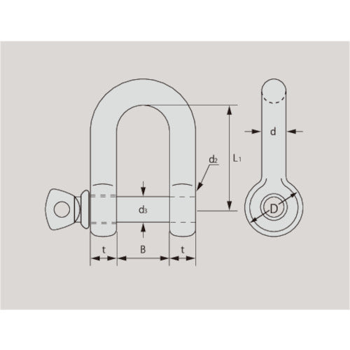 TAIYO SUS 捻込シャックル 鍛造製 ツバ付 16MM(3007382) SUSNGS16T 1 個
