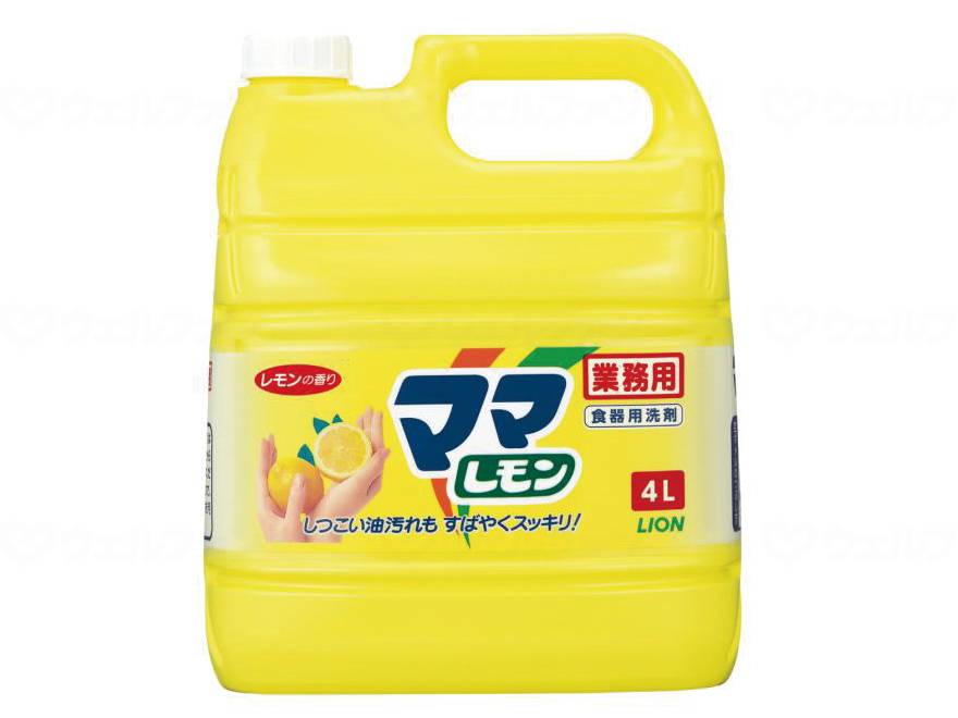 사자 하이 진 엄마 레몬 책 4L