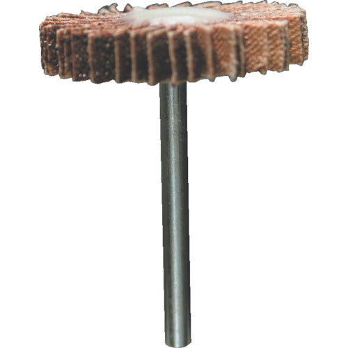 Minimo Radial Sander #60 φ30 (3 pieces) EA1021 1 bag