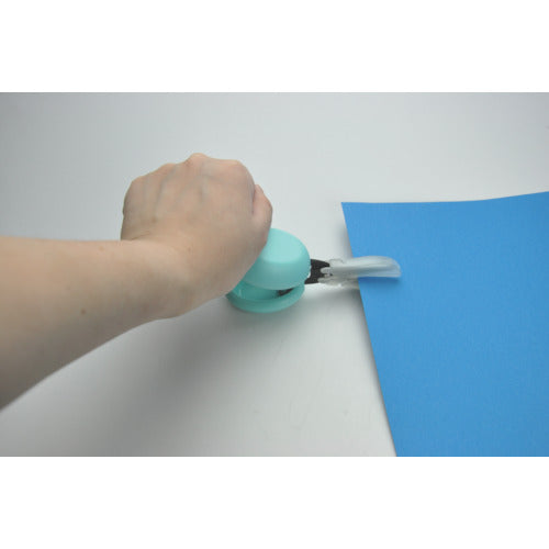 캐너리 카스타 블루 D-CASTA-BU 1 丁