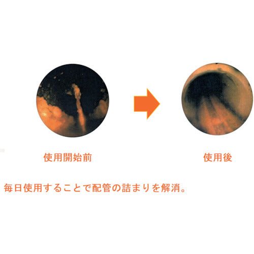 버드나무 연구소 유지분해 촉진제 팔메이트 18L폴리캔 MST-100-E 1개