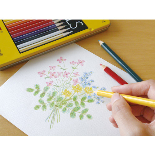 Tombow 色鉛筆12色NQ CB-NQ12C 1 S