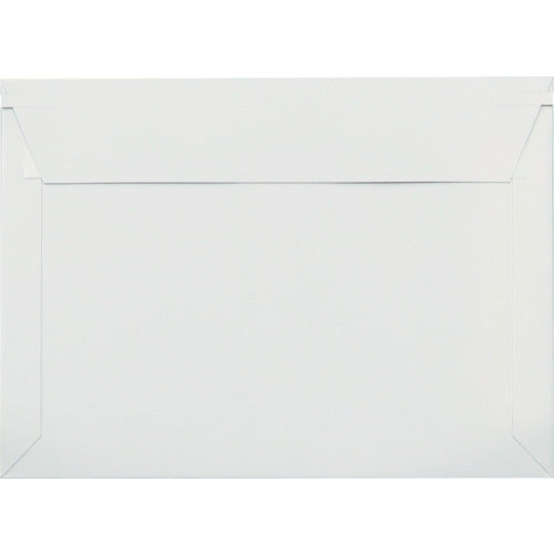 King Corp. Business Bag, Square 2 (330 x 240) (100 pieces) KBB005 1 PK