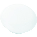 TRUSCO カラーマグネット(6個入) 白 20パイ TCM-206-W 1 PK