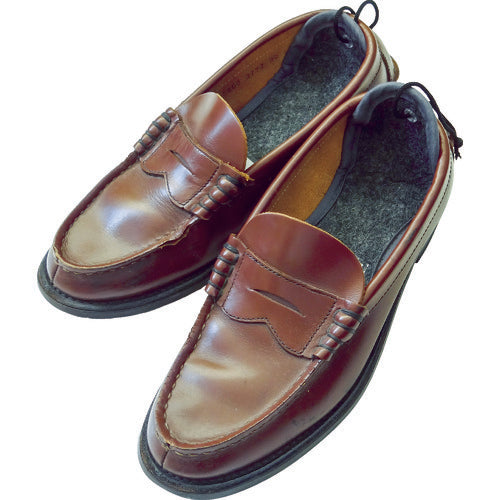 TRUSCO 靴用脱臭乾燥剤 激取り靴ドライ TSC-SD 1 足