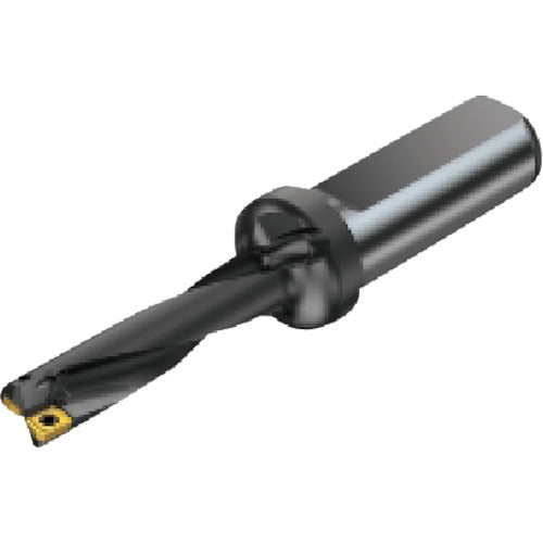 샌드빅 날끝 교환식 드릴 슈퍼 U 드릴(465) 880-D5800L50-04 1개