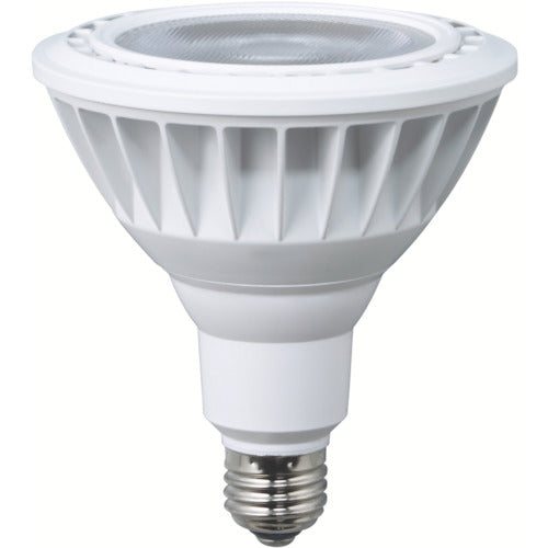 Hataya LED work light, 20W replacement bulb, daylight white beam type, LDR20N-W60, 1 piece