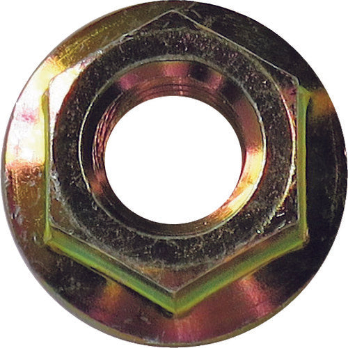 DAIDOHANT HP Chromate Hexagonal Flange Nut M10 2 Pieces 10185750 1 Bag