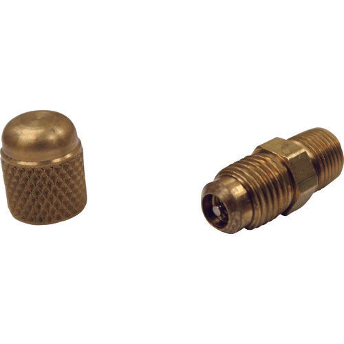 BBK Access Valve (Male Pipe Thread) (Pack of 5) A31482 1 PK