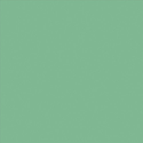 니페 수성 콘크리트 컬러 0.7L 퍼 그린 HPT203-0.7 4976124090301 1 캔