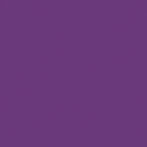 Nippon Paint Fluorescent Spray 180ml Violet HWQ005-180 4976124321122 1 bottle