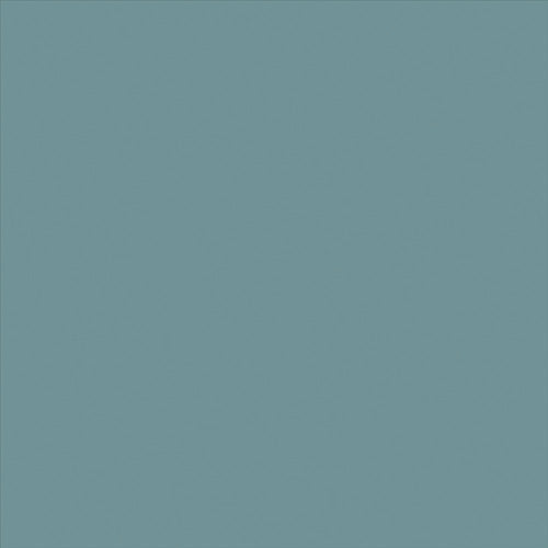 Nippon Paint Water-Based UV for Galvanized Iron Roofs 2L Mouse HXQ107-2 4976124192067 1 Can