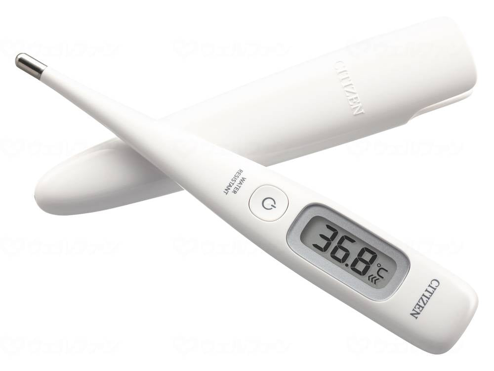 Citizen Systems Citizen Electronic Thermometer CTE507