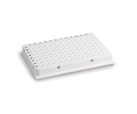 96well Hard-Shell Microplate White Well/White Shell HSP9655 1 Box