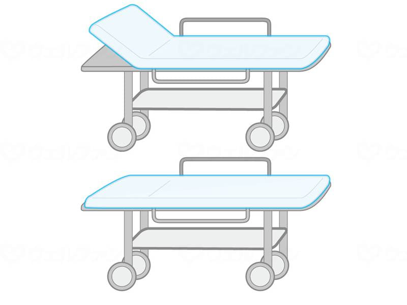 竹虎フェルラックストレッチャーカバー 吸水/防水タイプ20枚入