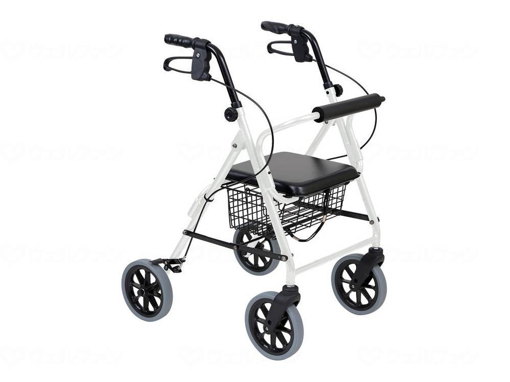 대나무 호랑이 보행차 패피 II 토르