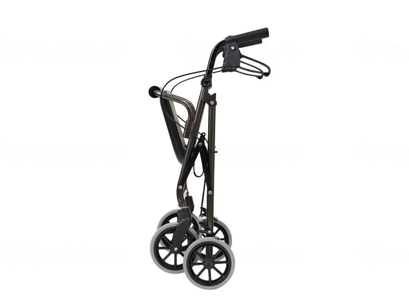 죽 호랑이 보행차